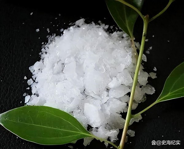 配资专业股票理财 拒绝7000万卖身，大叔靠树提炼“白色黄金”，5年逆袭成亿万富豪